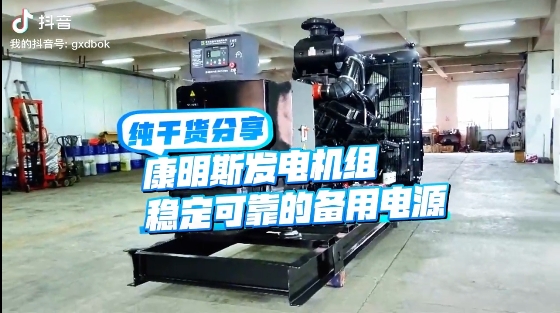 「視頻」如何應(yīng)對夏天斷電危機？640KW康明斯發(fā)電機組助您輕松應(yīng)對挑戰(zhàn) 